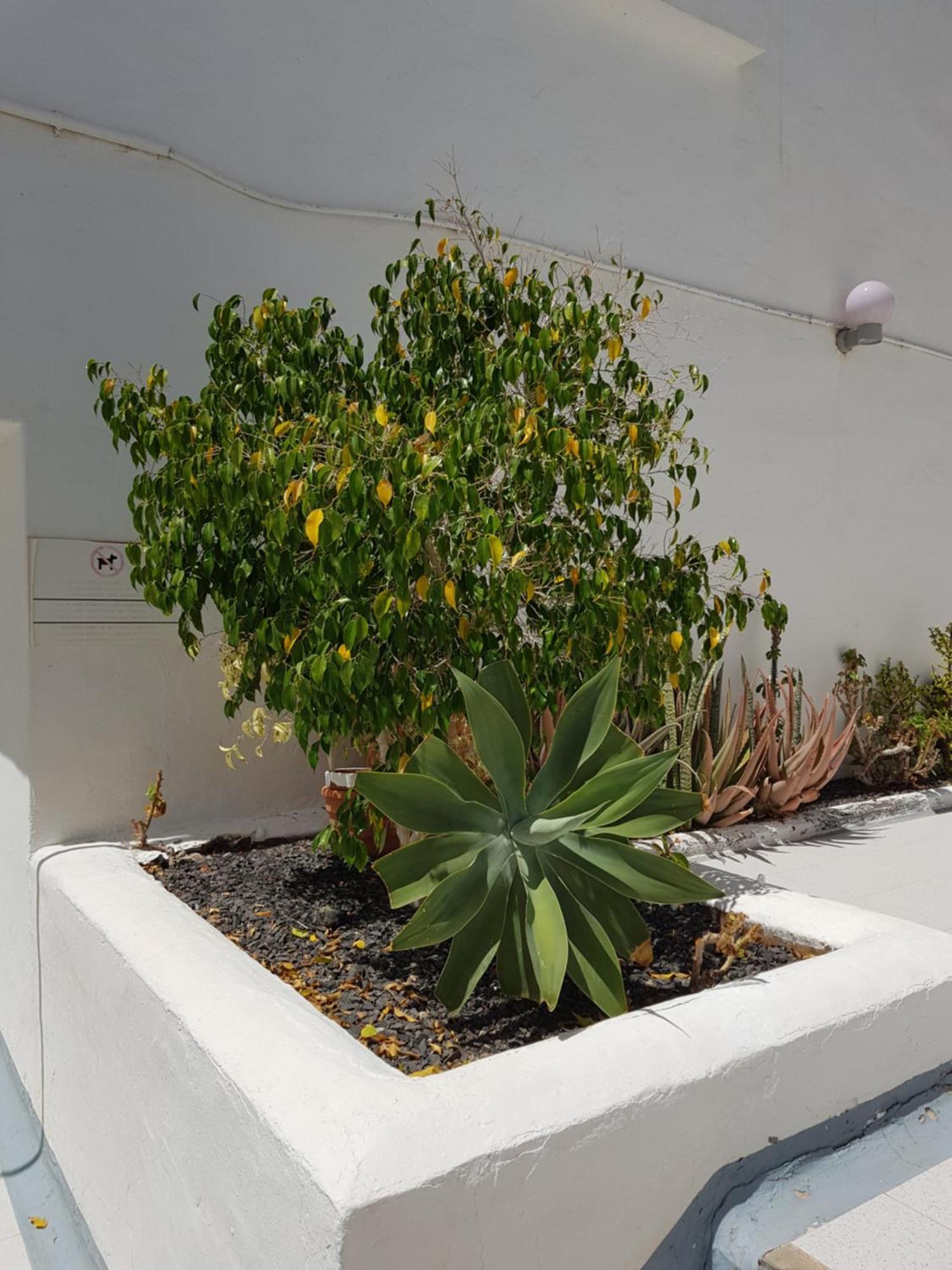 Stunning 2 Bedroom Duplex Close To Main Beach With Seaviews Puerto del Carmen Kültér fotó
